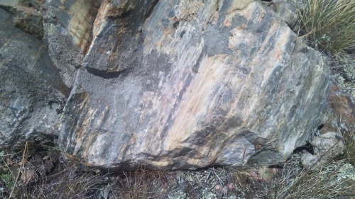 Гигантские зелёные валуны для ландшафтного дизайна весом более 5 тонн купить в Озёрске