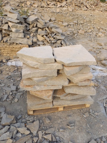 плиты для пошаговых дорожек